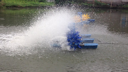 Cosa determina la disposizione degli aeratori per laghetti di pesci