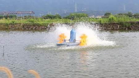 Selezione e installazione di aeratore per laghetti